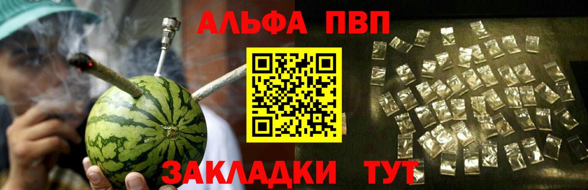 A PVP СК КРИС Вологда