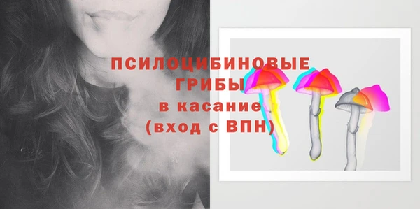 ГАЛЛЮЦИНОГЕННЫЕ ГРИБЫ Алзамай