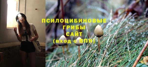 apvp Абаза