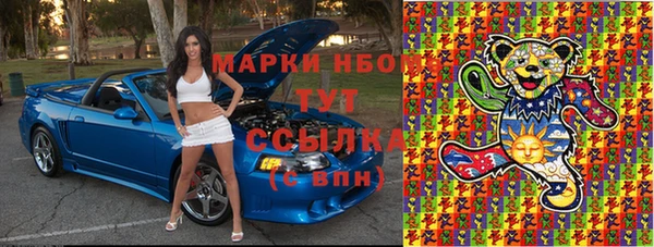 ГАЛЛЮЦИНОГЕННЫЕ ГРИБЫ Алзамай