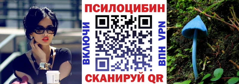 наркота  Вологда  Галлюциногенные грибы Psilocybine cubensis 