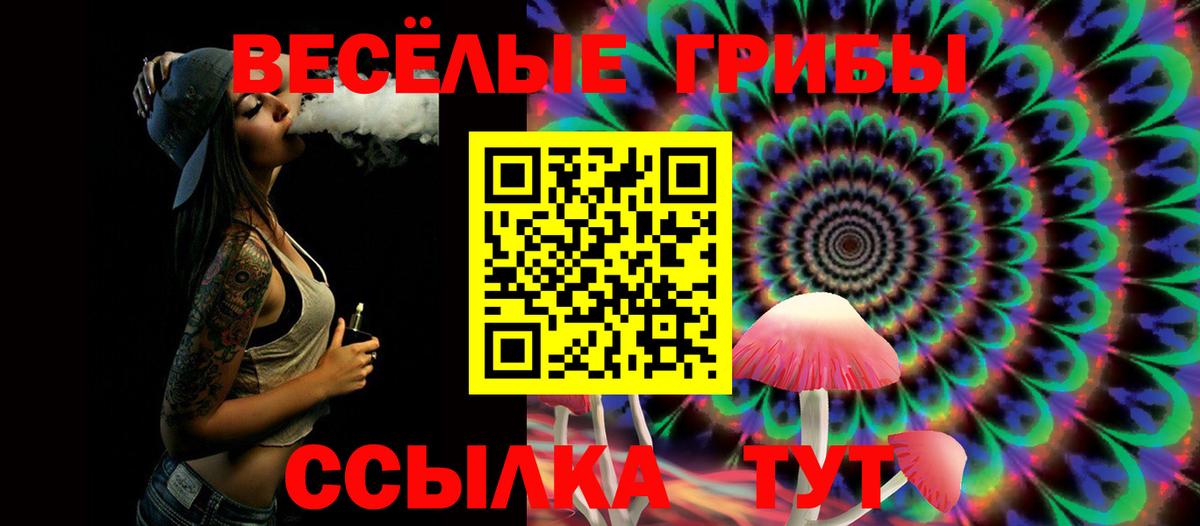 Псилоцибиновые грибы ЛСД  Вход с VPN  Псилоцибиновые грибы ЛСД  Вологда 