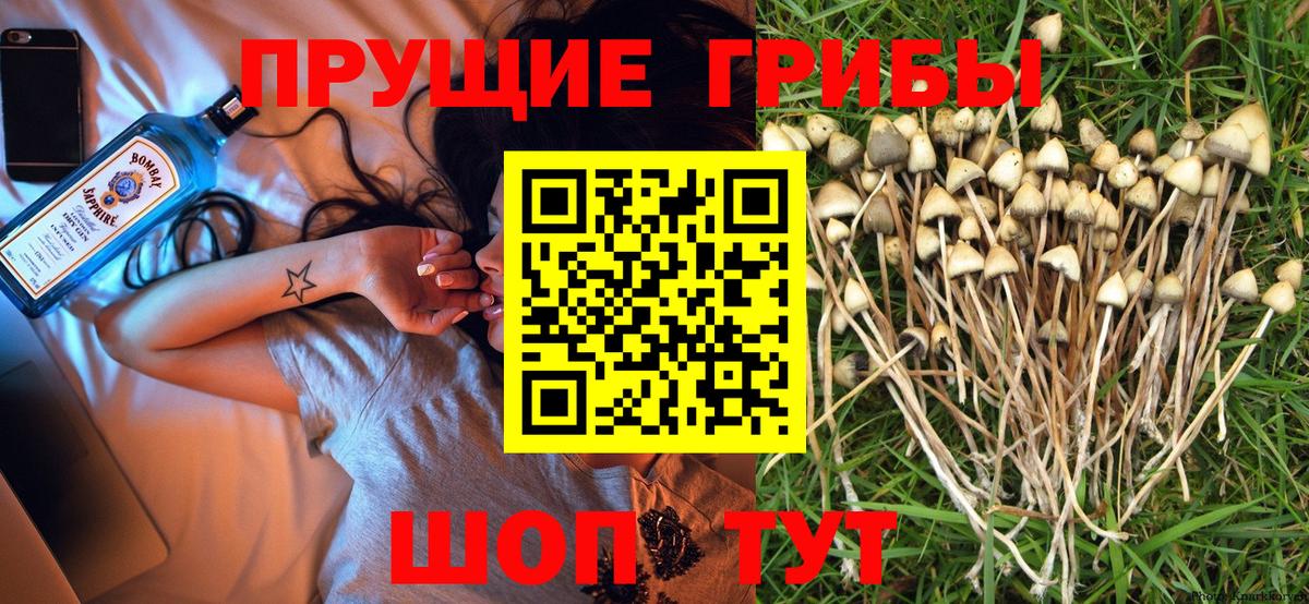 Галлюциногенные грибы мицелий Вологда